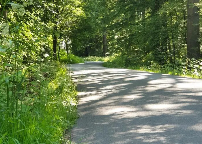 Le Blason Casa vacanze Rosult